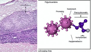 The proposed method offers a rapid and precise analysis for detecting polycyclic aromatic hydrocarbons PAHs across diverse food matrices by employing advanced analytical techniques this approach minimizes processing time while ensuring exceptional se-1